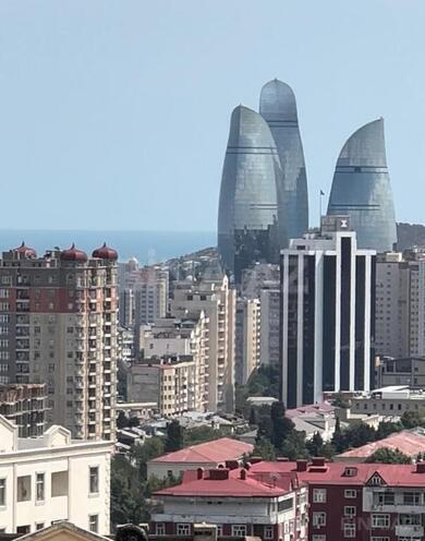 4-комн. новостройка - м. 8 ноября - 178 м² (1)