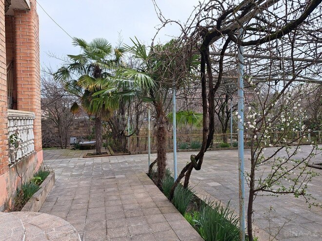 7 otaqlı həyət evi/bağ evi - Lənkəran - 318.8 m² (4)