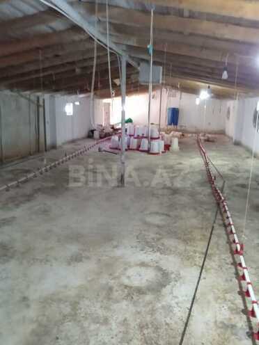 Объект - Сиазань - 1300 м² (3)