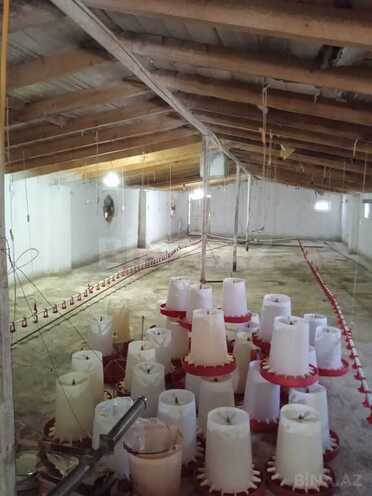 Объект - Сиазань - 1300 м² (2)