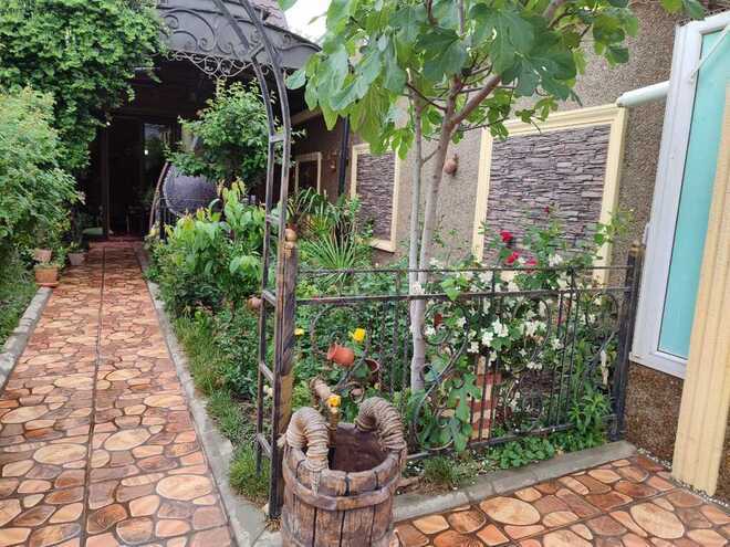 2 otaqlı həyət evi/bağ evi - Novxanı q. - 50 m² (22)