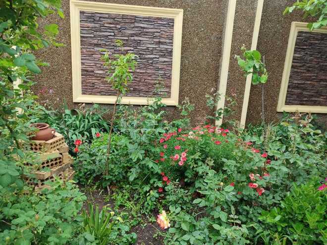 2 otaqlı həyət evi/bağ evi - Novxanı q. - 50 m² (23)