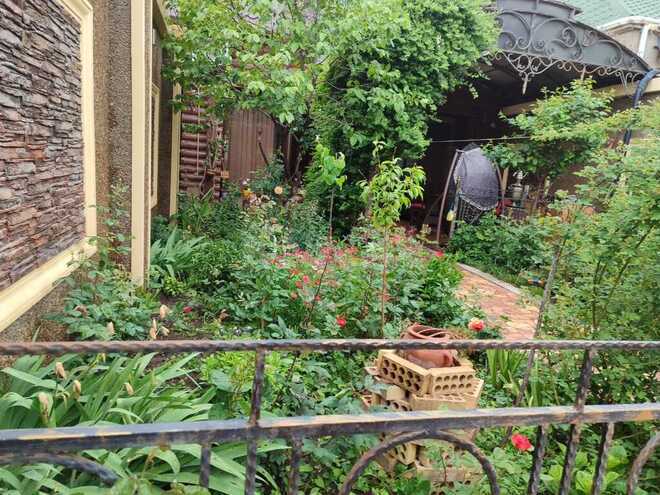 2 otaqlı həyət evi/bağ evi - Novxanı q. - 50 m² (21)