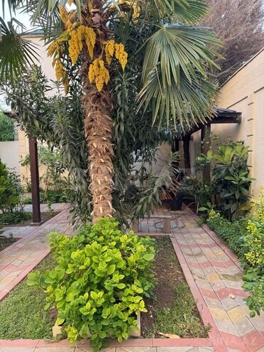 7 otaqlı həyət evi/bağ evi - Nəsimi m. - 370 m² (4)