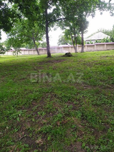 3 otaqlı həyət evi/bağ evi - Qəbələ - 150 m² (8)