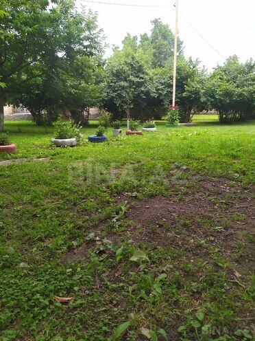 3 otaqlı həyət evi/bağ evi - Qəbələ - 150 m² (7)