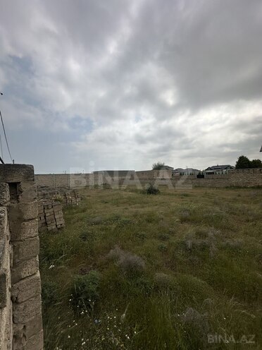 Участок - пос. Шувеляны - 12 сот (1)