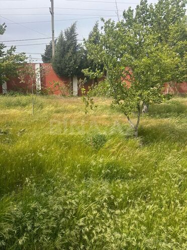 Участок - пос. Новханы - 4 сот (4)