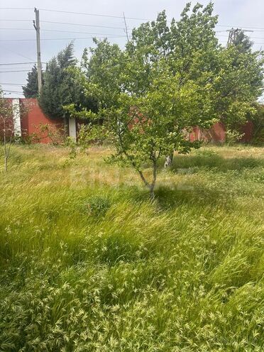 Участок - пос. Новханы - 4 сот (3)