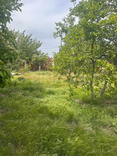 Участок - пос. Новханы - 4 сот (5)