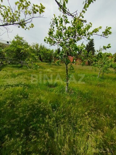 Участок - пос. Новханы - 5 сот (4)