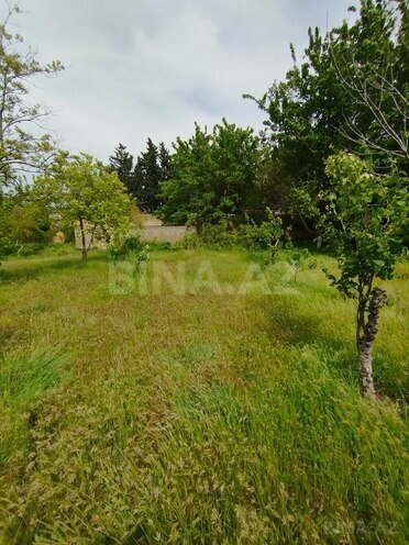 Участок - пос. Новханы - 5 сот (6)