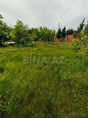 Участок - пос. Новханы - 5 сот (3)