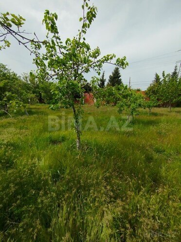 Участок - пос. Новханы - 5 сот (10)