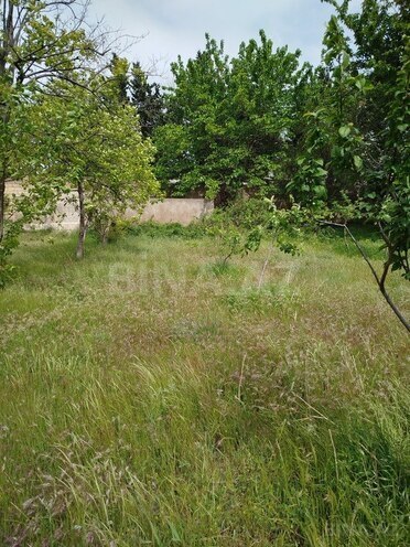 Участок - пос. Новханы - 5 сот (2)