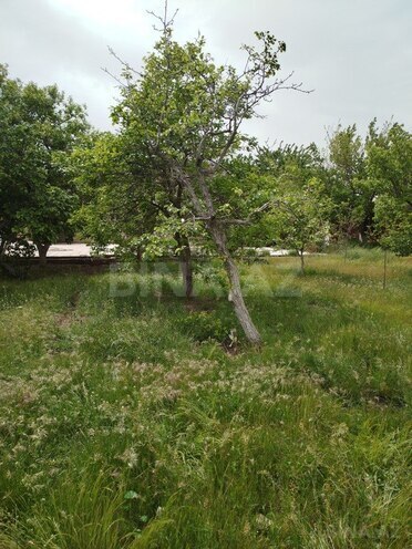 Участок - пос. Новханы - 5 сот (14)