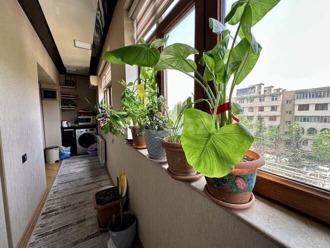 5 otaqlı köhnə tikili - Xalqlar Dostluğu m. - 120 m² (13)