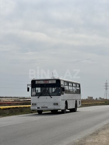 Torpaq - Zığ q. - 13 sot (8)