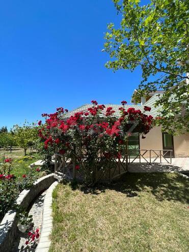 Satılır 8 otaqlı həyət evi/bağ evi 400 m², Türkan q., photo 3 from 17