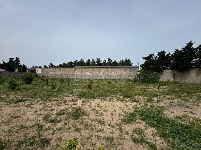 Продаётся  участок 12 сот, пос. Шувеляны, photo 8 from 11