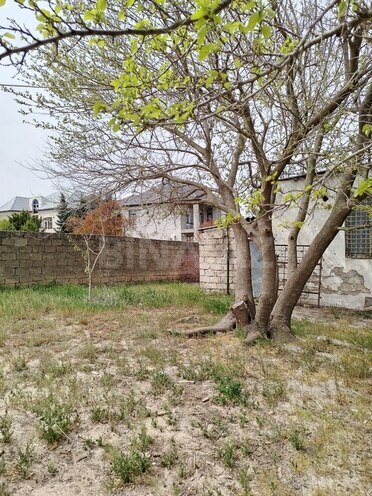 Участок - пос. Новханы - 8 сот (3)