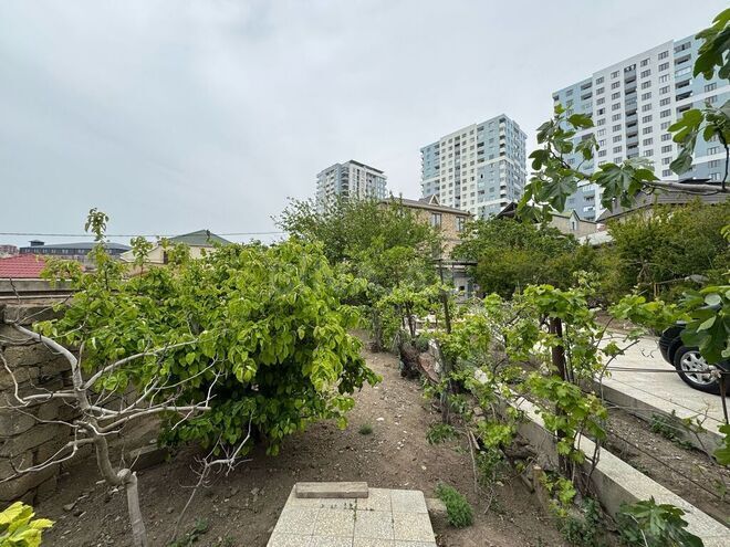 6 otaqlı həyət evi/bağ evi - Badamdar q. - 500 m² (16)