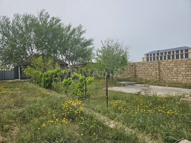 Torpaq - Nardaran q. - 9 sot (1)