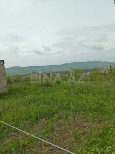 Torpaq - Şamaxı - 6 sot (3)