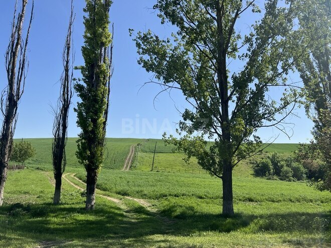 Участок - Исмаиллы - 700 сот (6)