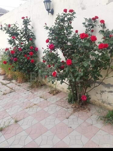 3 otaqlı həyət evi/bağ evi - Maştağa q. - 120 m² (7)