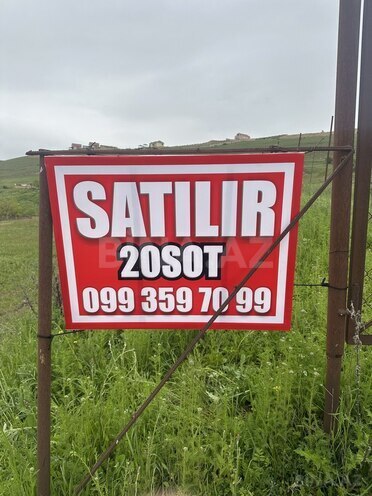 Torpaq - Şamaxı - 20 sot (3)