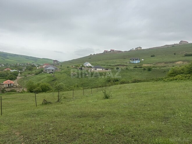 Torpaq - Şamaxı - 20 sot (1)