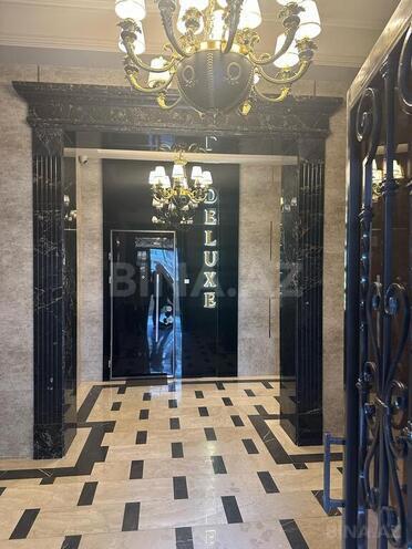 5 otaqlı yeni tikili - Nizami m. - 234 m² (3)