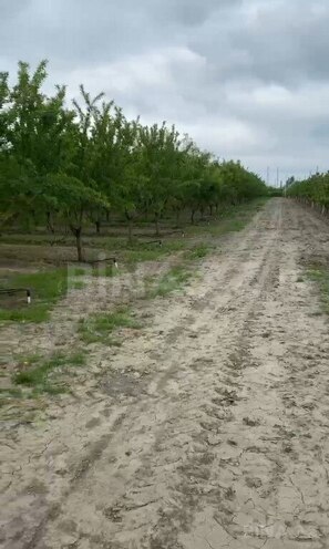 Satılır  torpaq 2 000 sot, Xaçmaz r., photo 21 from 22