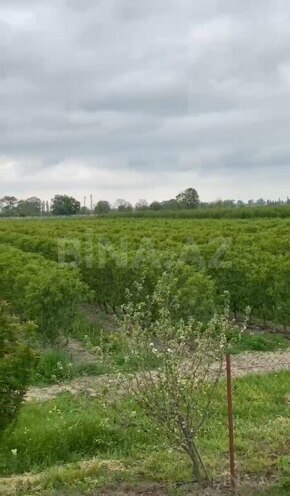 Satılır  torpaq 2 000 sot, Xaçmaz r., photo 16 from 22