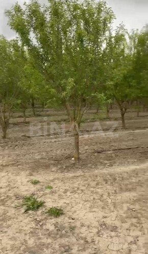 Satılır  torpaq 2 000 sot, Xaçmaz r., photo 18 from 22