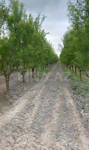 Satılır  torpaq 2 000 sot, Xaçmaz r., photo 7 from 22