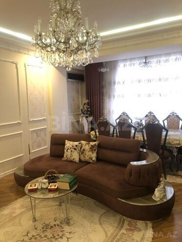 5-комн. новостройка - м. 20 января - 160 м² (7)