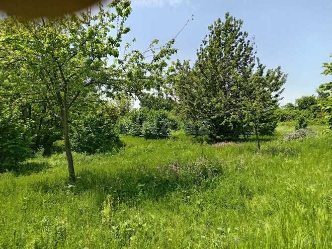 Satılır  torpaq 50 sot, photo 5 from 7