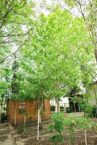 Продаётся  объект 10 000 м², photo 14 from 22