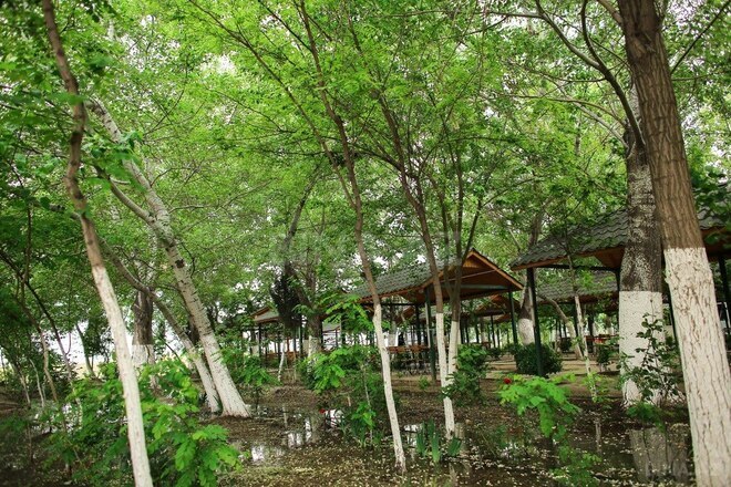 Продаётся  объект 10 000 м², photo 12 from 22