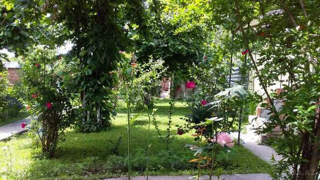 3 otaqlı həyət evi/bağ evi - Qəbələ - 95 m² (6)