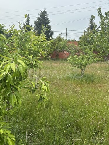 Участок - пос. Новханы - 4 сот (4)