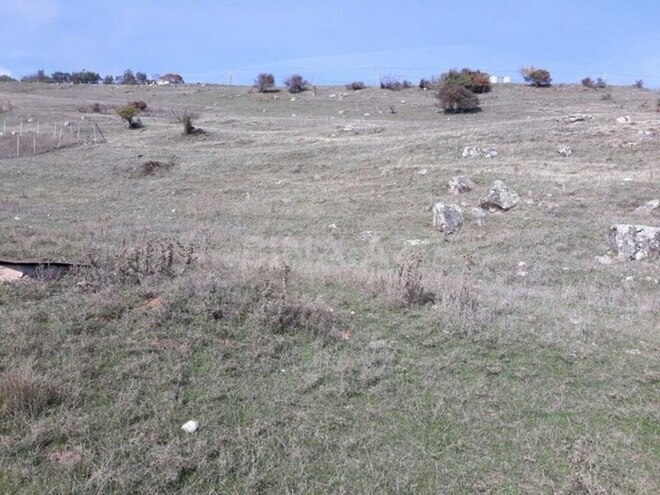 Torpaq - Şamaxı - 12 sot (4)