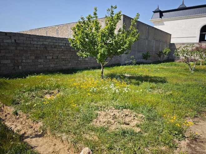 Satılır  torpaq 8 sot, Buzovna q., photo 3 from 19