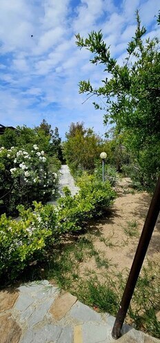 3 otaqlı həyət evi/bağ evi - Türkan q. - 120 m² (13)