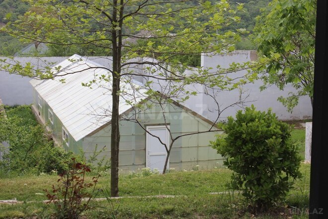 12 otaqlı həyət evi/bağ evi - Qusar - 2000 m² (10)