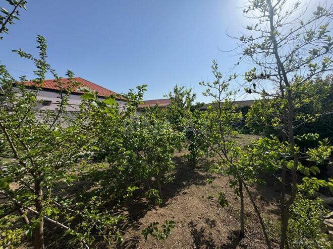 Продаётся  участок 10.5 сот, пос. Мардакан, photo 6 from 8