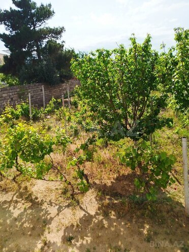 3 otaqlı həyət evi/bağ evi - Novxanı q. - 80 m² (12)