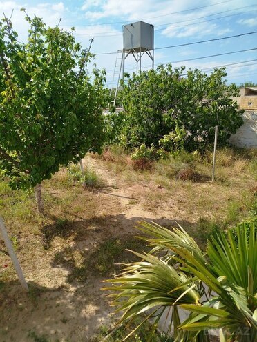 3 otaqlı həyət evi/bağ evi - Novxanı q. - 80 m² (13)